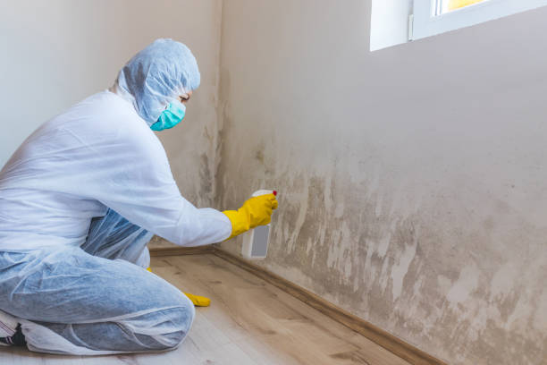 Licensed Commercial Mold Remediation service in Pennington, NJ - Car Mold Remediation