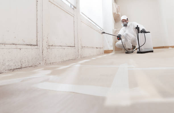 24/7 Emergency Commercial Mold Remediation experts in Pennington, NJ